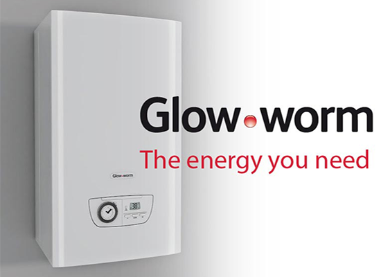 Glow-Worm-550x400-1